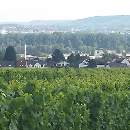 Ferienwohnung Weingut Leis Oestrich-Winkel Zimmer foto