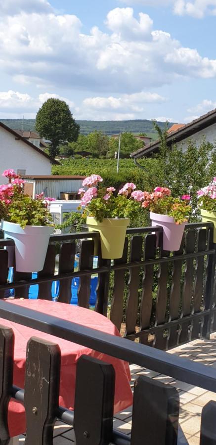 Weingut Leis *