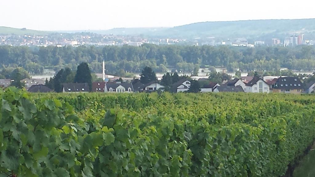 Weingut Leis *